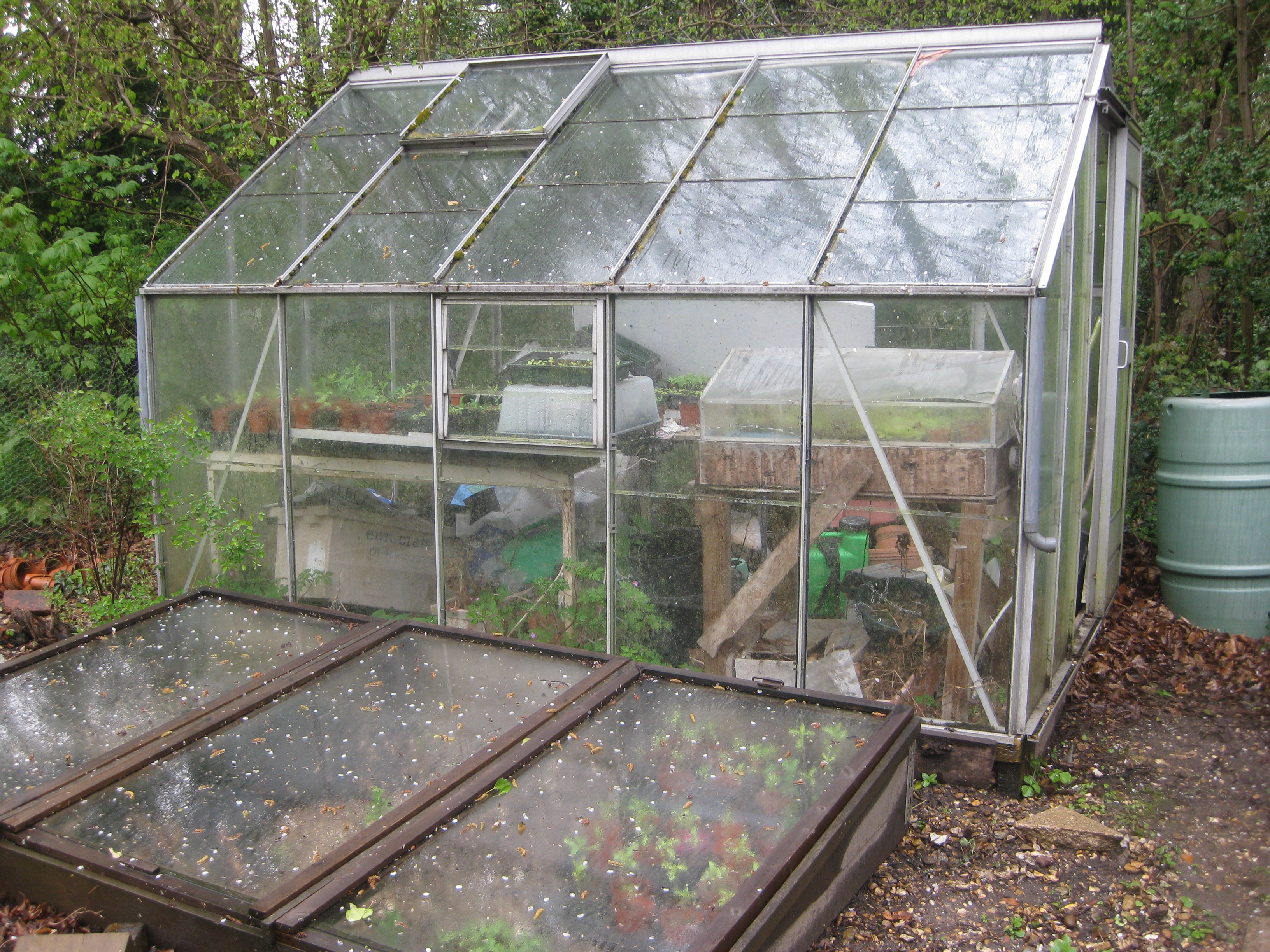 Peter's Greenhouse