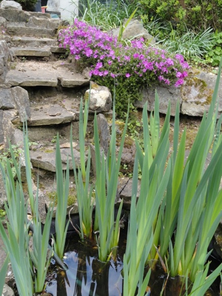 Stone path steps in garden
