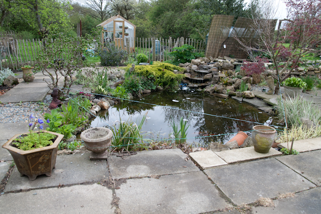 Pond and Greenhouse