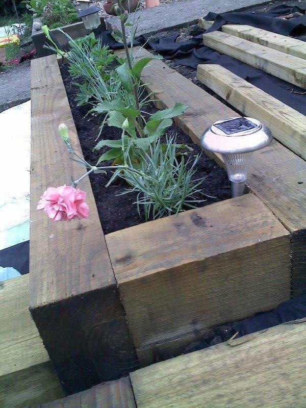 Mrs P - First Carnation - Raised Bed and Solar Light