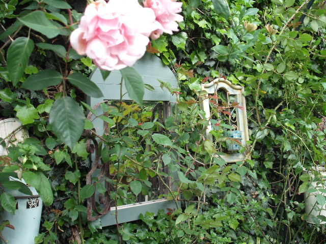 Garden mirrors and roses