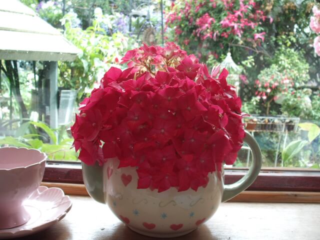 Hydrangeas arranged in a teapot