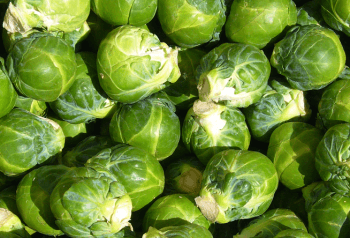 1 sprouts