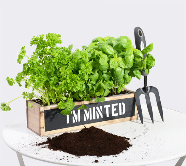 I am Minted - Personalised Planter from Primrose
