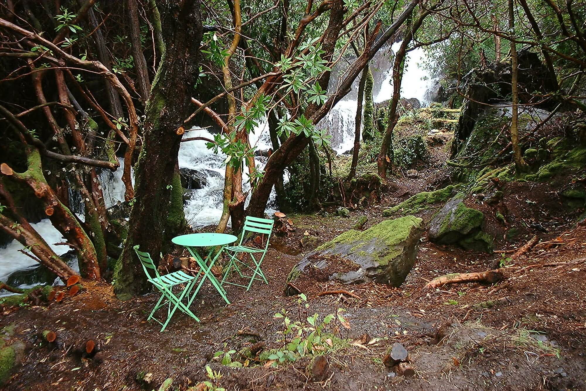 Gardens of Coolcreen have the best of both worlds - Natural rugged beauty and a great place to relax.