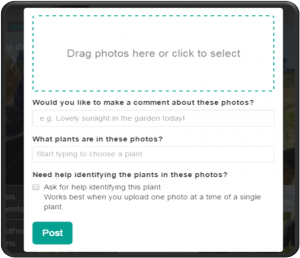 Start uploading some photos to your profile