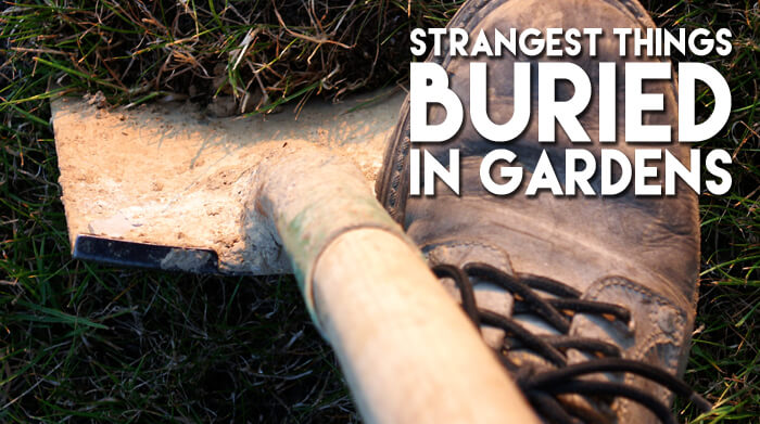 Strangest Things Buried In Gardens