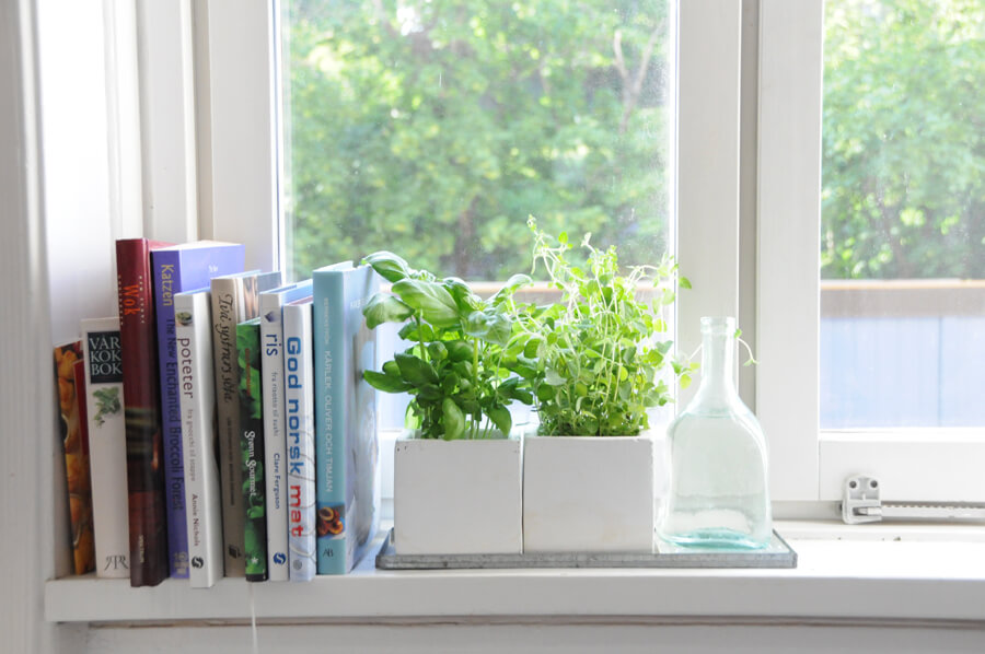 Herbs On Windowsill