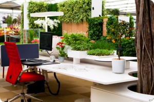 Workplace plants