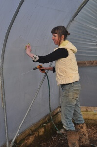 Cleaning the Polytunnel
