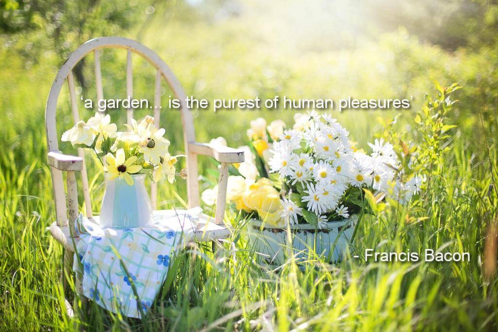 Francis Bacon Quote