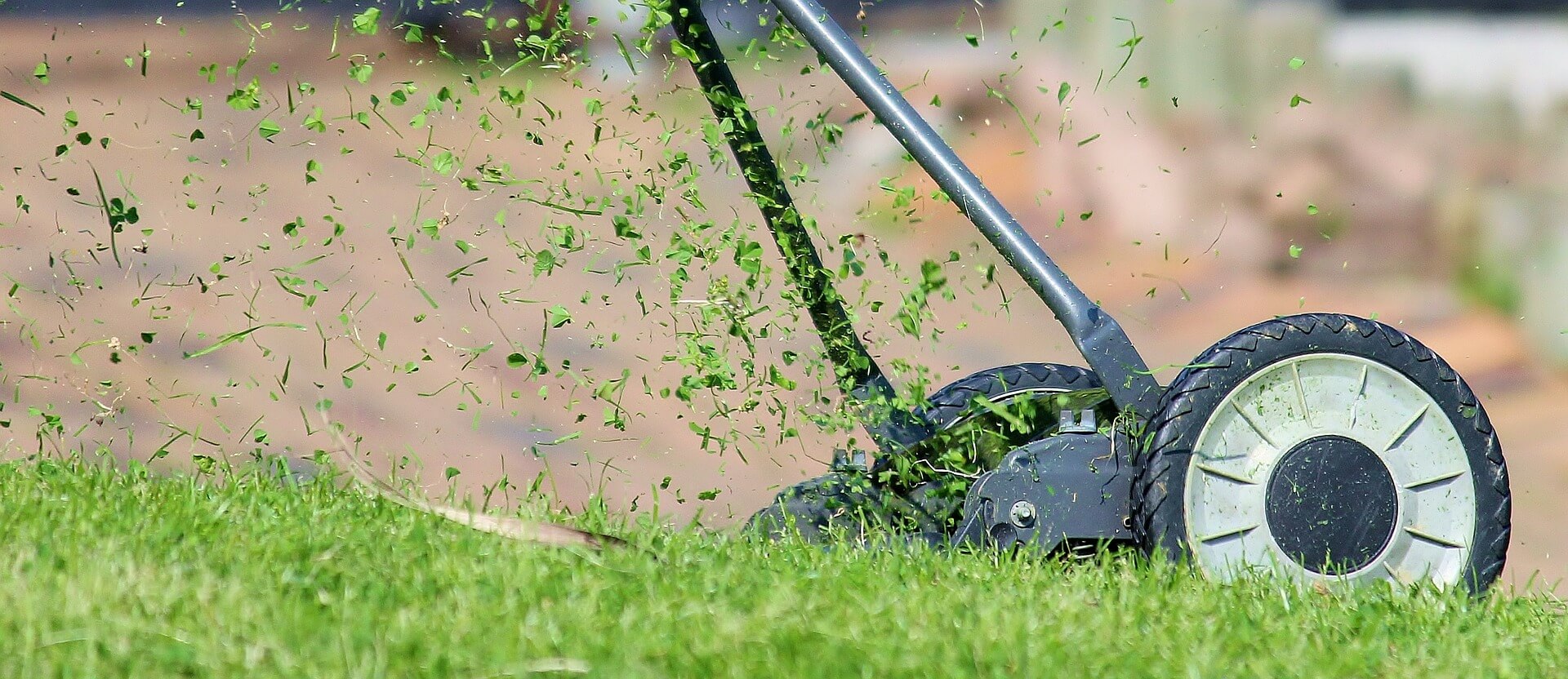 How to Keep Lawn Edges Neat