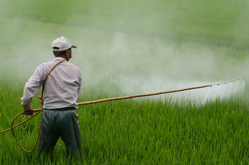 pesticides garden myths