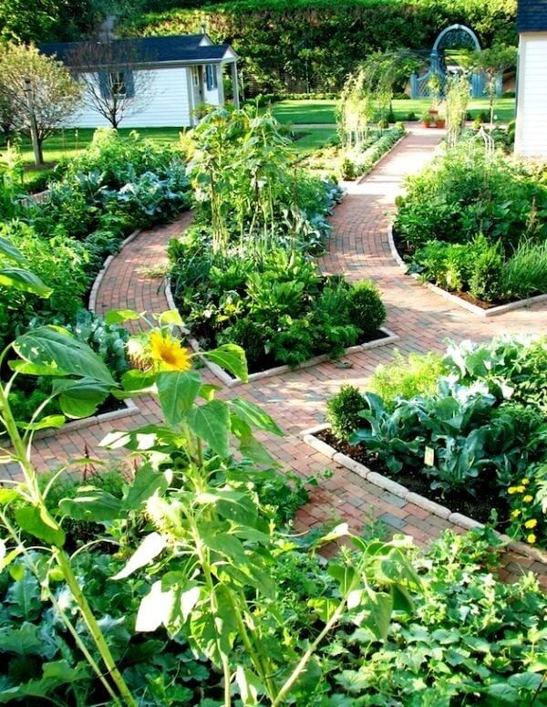 Grow Your Own Edible Garden