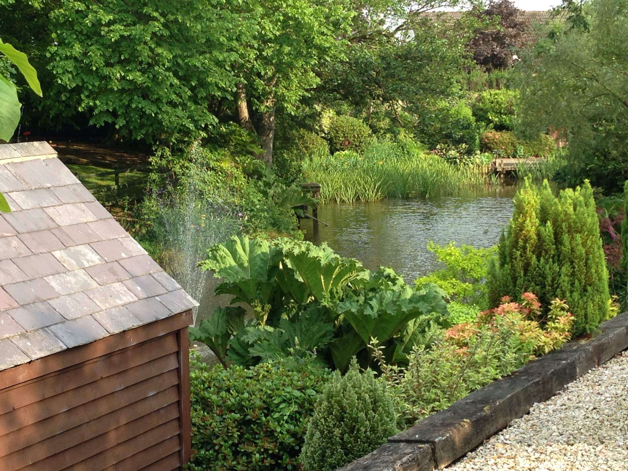 A very picturesque pond in Lyndhurst's garden 