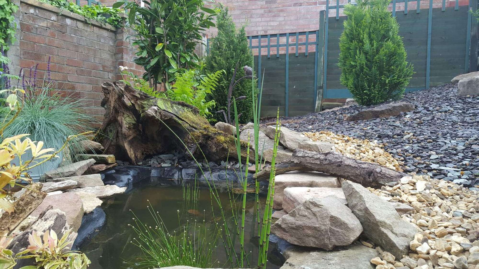 A beautiful natural looking pond courtesy of The Kelly Wildlife's garden