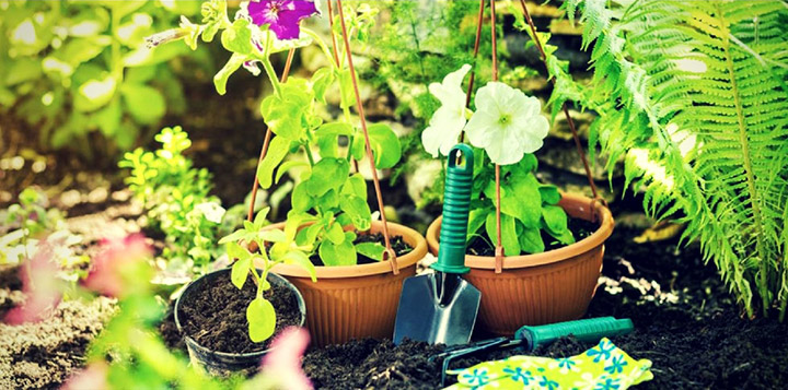 Gardening for a healthy lifestyle