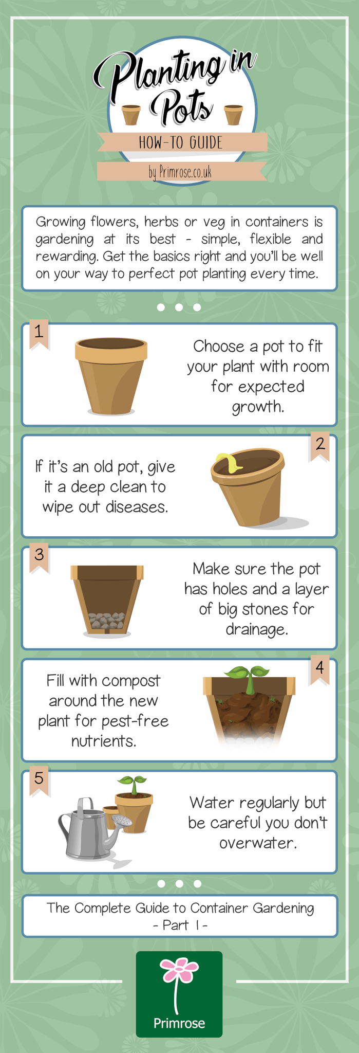How to plant in pots infographic