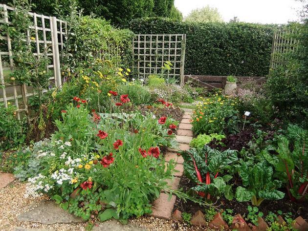 Starting your own organic garden