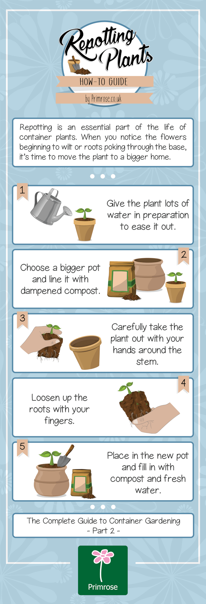 How to repot a plant