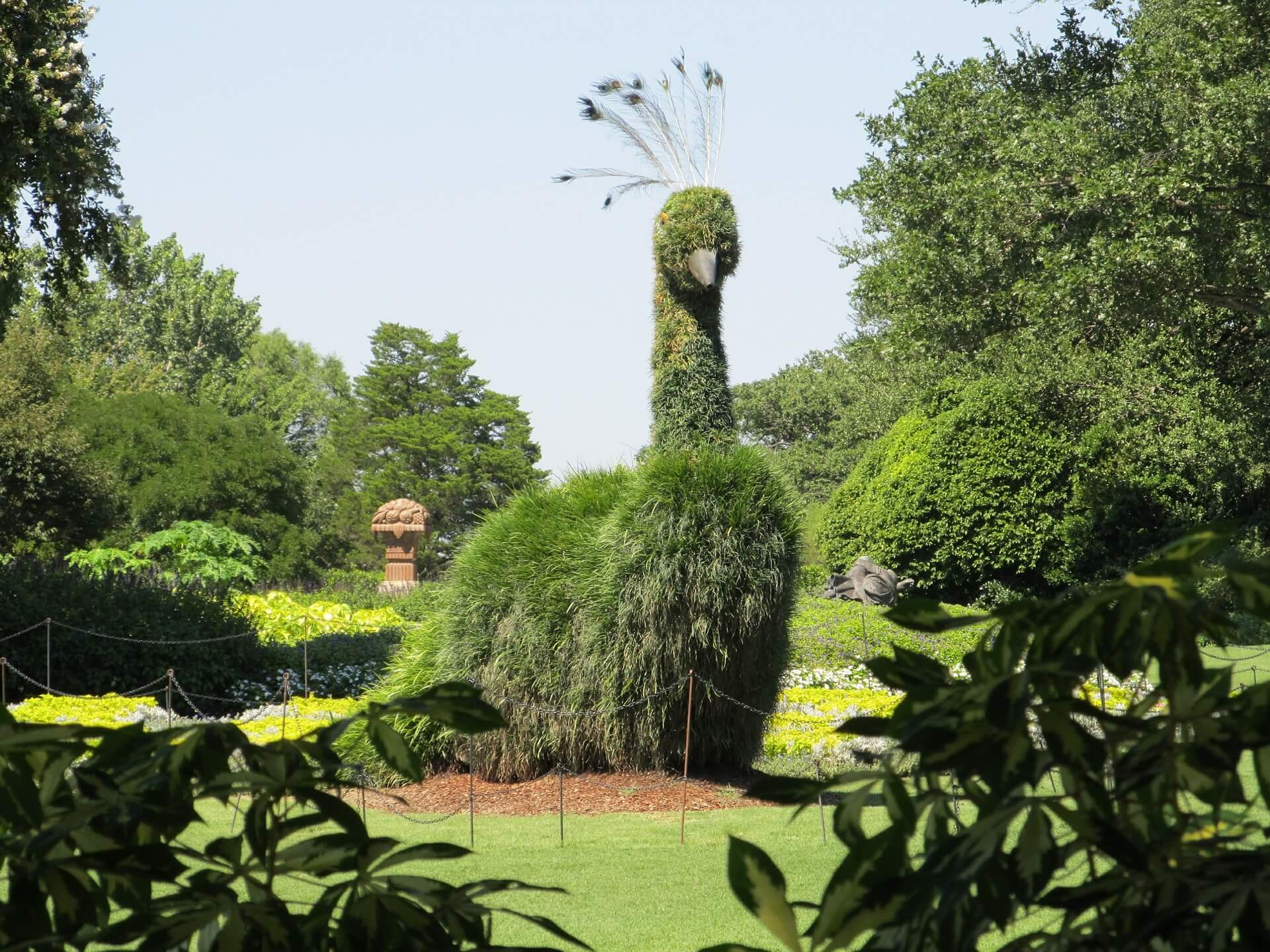 Caring for topiary