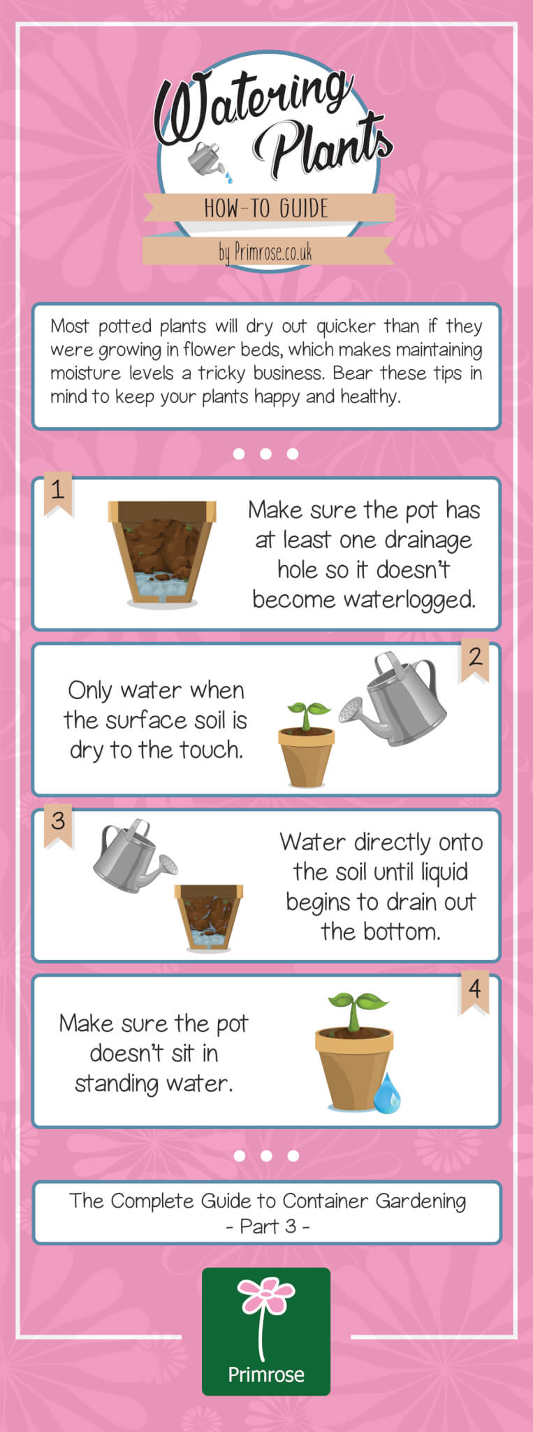 How to water pot plants