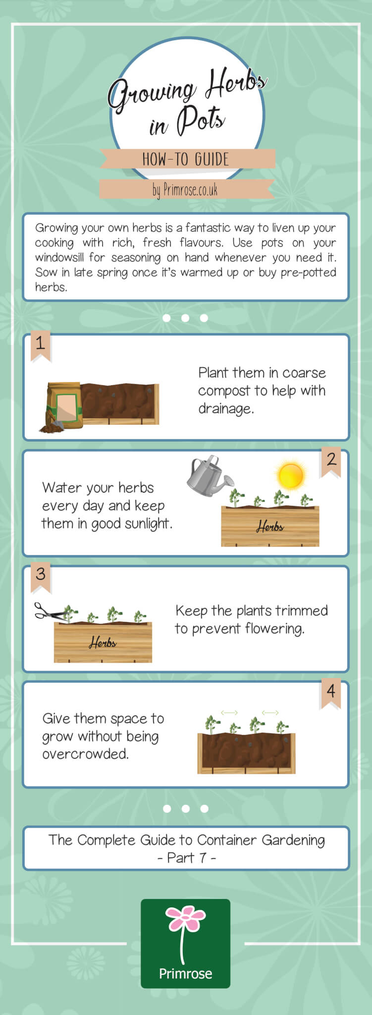 How to grow herbs in pots infographic
