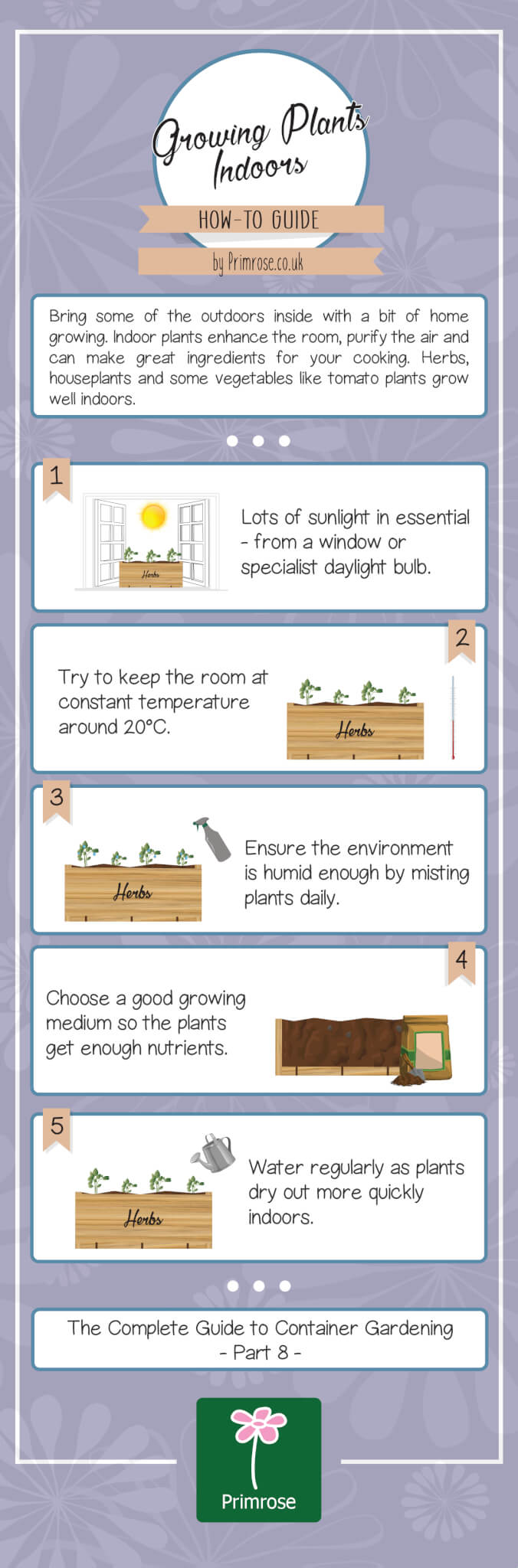 How to grow plants indoors infographic