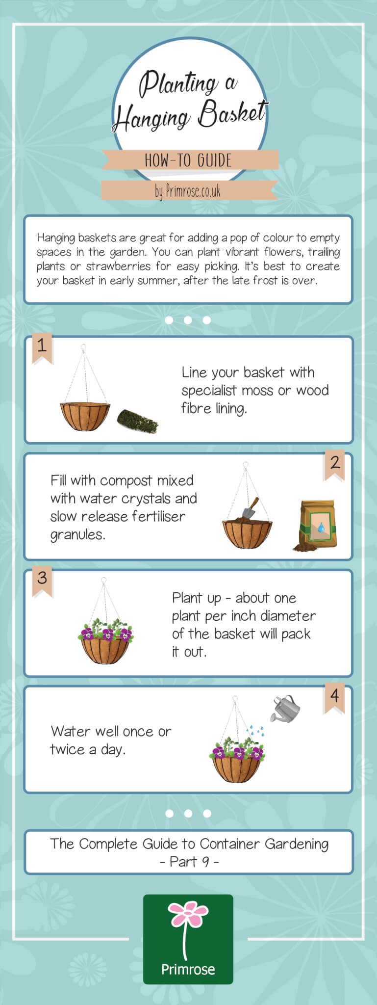 How to plant a hanging basket infographic
