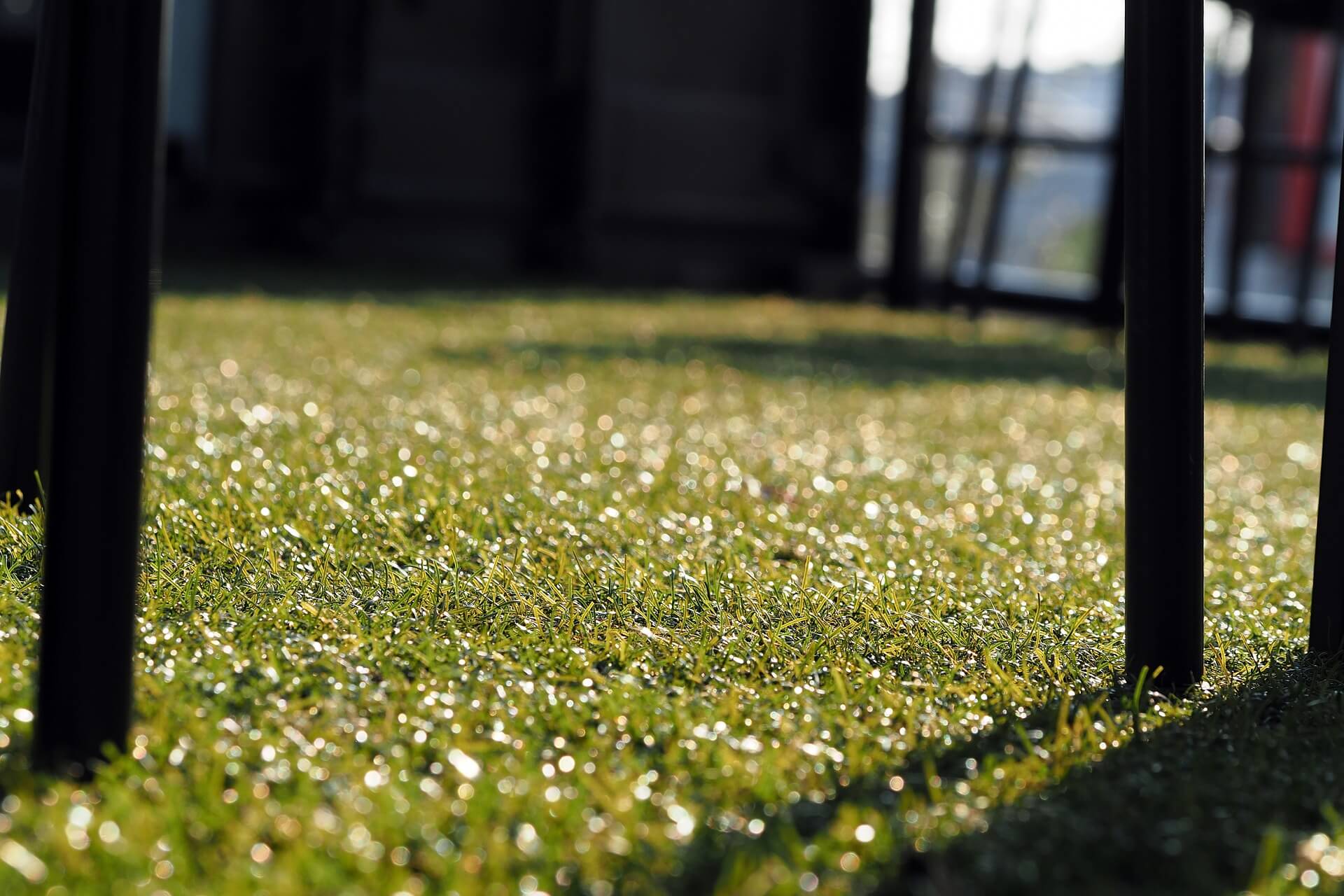 artificial grass