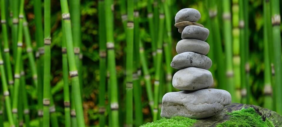 garden therapy zen stones