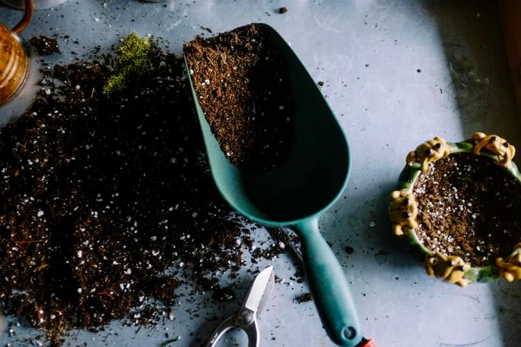 how to compost: compost in scoop