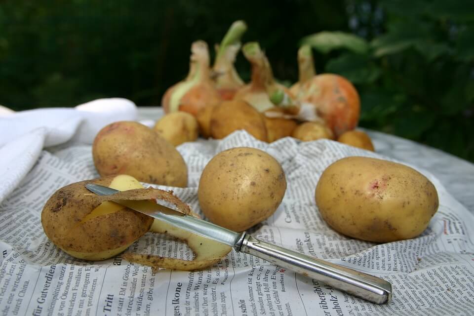 How to compost: peeling potatoes