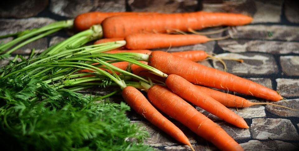 Growing Vegetables From Kitchen Scraps - Carrot Tops