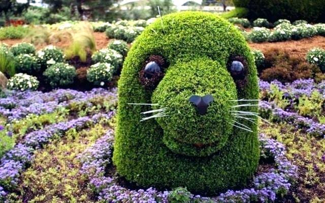 topiary creature